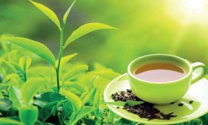 Pakistan, Tea, Imports, billion, dollars, million, trade, Pakistan Bureau of Statistics, PBS, data,