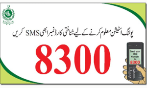 Voters Convenience: ECP Enables Access to Voting Details via SMS to 8300