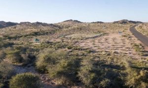 Saudi Green Initiative, Saudi Arabia, Trees, Saiysad National Park, Taif,