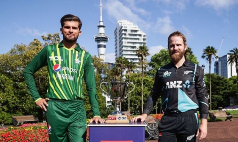 New Zealand, Pakistan, T20I, Series, Auckland, Cricket, Andre Adams, New South Wales, Australia, Big Bash League, Sydney Sixers, World Cup, Hamilton, Dunedin, Christchurch,