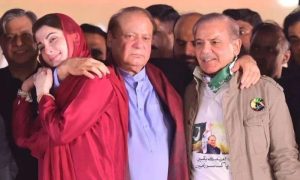 Pakistan, Prime Minister Shehbaz Sharif, PML-N, parliamentary elections, Nawaz Sharif, IMF program, PTI,