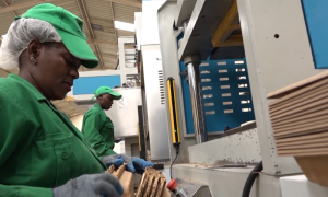 Kenyan Packaging Producer Aims to Reduce Plastic Pollution