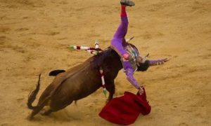 Mexico, Bullfighting, Bullfighter