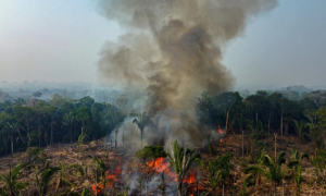 Nearly 3,000 Wildfires Recorded in Brazil's Amazon in February, New Record