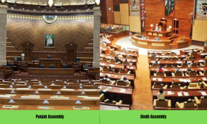 PPP Gets 26 Reserved Seats in Sindh Assembly, PML-N Takes 41 in Punjab Assembly