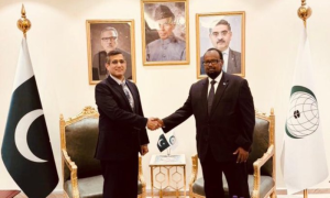 Pakistan, Somalia Discuss Coordination at OIC