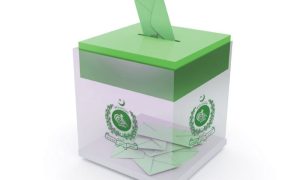 Election, 2024, Result, Form, Pakistan, ECP