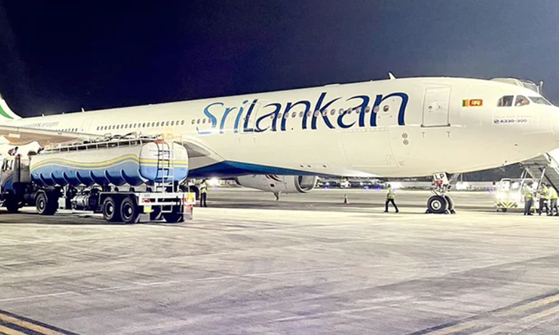 Rat Grounds Sri Lankan Airline, Raises Investor Concerns