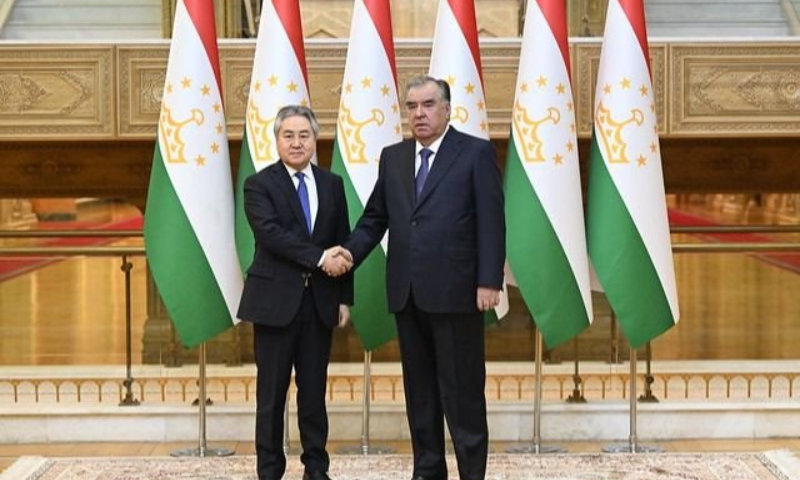 Tajikistan's President, Kyrgyzstan's FM Hold Talks on Bilateral Cooperation