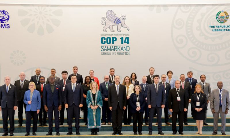 CMS COP14, Silk Road, Samarkand, Congress Hall, Prime Minister Abdulla Aripov.