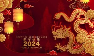 Pakistan Embassy, Beijing, Chinese New Year, Pakistan's Ambassador to China, Khalil Hashmi,