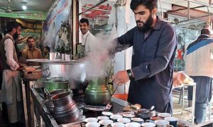 Imports, Pakistan, Tea, Pakistan Bureau of Statistics, soyabean oil,