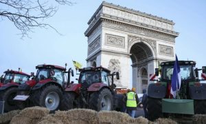 France, Politics, Farming, Arrest, Farmers,