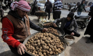 Landmine Blast Kills 16 Truffle Hunters in Syria Desert