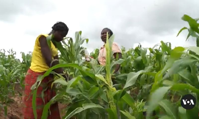 Malawi