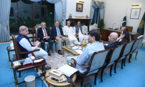 PPP Delegation Meets Prime Minister Shahbaz Sharif