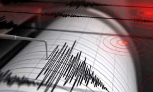 Quake, PNG, Papua New Guinea, USGS,