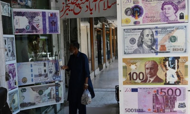 Overseas Pakistanis Role Vital to Boost Remittances Yet Political Stability is the Key