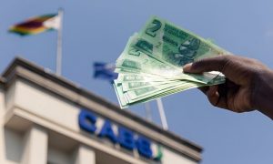 Zimbabwe's central bank, inflation, economy, ZiG, Zimbabwe, John Mushayavanhu,