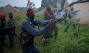 Armed Bandits Kill Around 20 in Nigers Restive Tillaberi Region