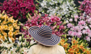 Climate Change Impacts London's Chelsea Flower Show