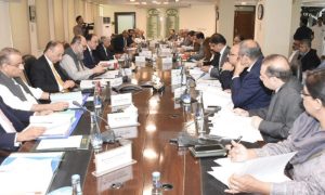 Economic Coordination Committee, Pakistan, wheat, import, Agricultural, Abdul Aleem Khan, Muhammad Aurangzeb, Jam Kamal Khan, Petroleum, Musadik Masood Malik, ECC