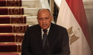 Egypt Condemns Israel's Denial of Responsibility for Gaza Aid Crisis