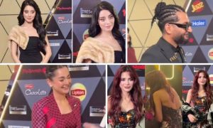 Pakistan, Hum Awards, Celebs, Face, Criticism, Dressing