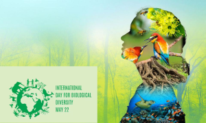 International Day of Biological Diversity Observed (1)