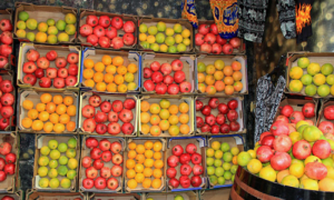 Pakistan’s Fruit Exports Up By 17.85% to $274.227 Million