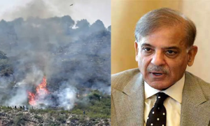 Prime Minister Shehbaz Sharif Responds to Wildfire on Margalla Hills