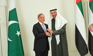UAE President Promises US 10 Billion Investment in Pakistan