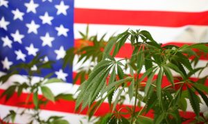 US Formally Proposes Reclassifying Marijuana as Low risk Drug