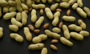 Peanut, Allergy, Adolescents, Study, National Institutes of Health, National Institute of Allergy and Infectious Diseases, NIAID, Medical journal, NEJM,
