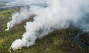 Canada, US, Wildfires, Western, Border, Smoke, Climate Change, Forest Fire, British Columbia, Alberta, Parker Lake Fire, United States, Air Quality, Wood Buffalo,