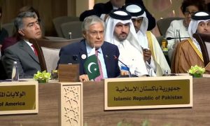 Pakistan, Deputy PM, Two-State Solution, Palestine, Deputy Prime Minister, Foreign Minister, Ishaq Dar, UN Security Council, Gaza, Israel, Jordan, United Nations