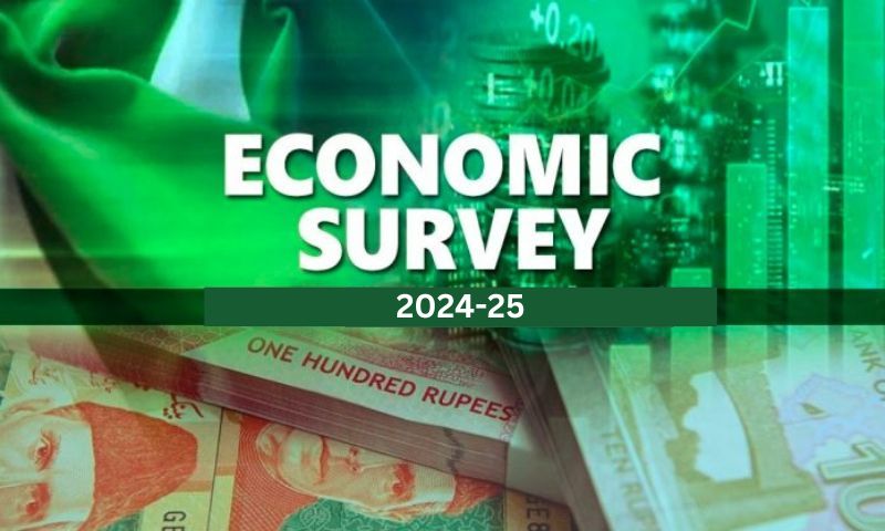 Budget, IMF, PML-N, Economic Survey, Pakistan, Annual Plan Coordination Committee