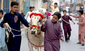 Eid Al-Adha, Festivities, Animal Sacrifices, Pakistan, Lahore, Islamabad, Karachi, Peshawar, Hajj