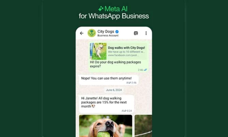 How Can New AI Features for WhatsApp Business Help Users 1