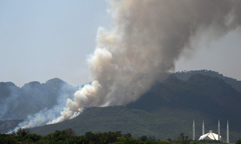 Margalla Hills Fires Measures Should Be Taken to Proetct Environment 1
