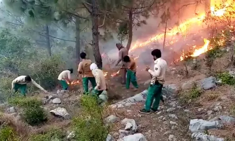 Margalla Hills Fires Measures Should Be Taken to Proetct Environment 2