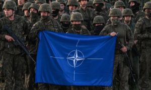 NATO Puts Troops on High Readiness to Counter Russian Threat: Official