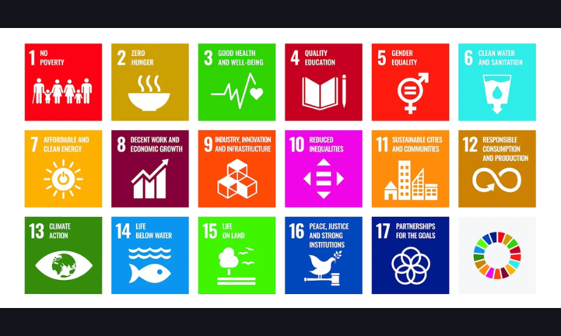 Only 17 of SDGs on Track UN Report