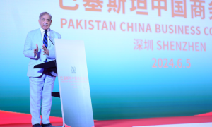 PM Shehbaz Vows to Ensure Security of Chinese Citizens in Pakistan