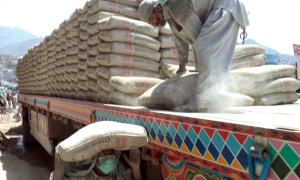 Pakistan Cement Exports Up by 40.46 in 11 Months