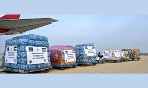 Pakistan, relief goods for Palestinians, Gaza, NDMA, Alkhidmat Foundation, relief goods, IPC, food, famine,