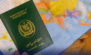 Pakistans Interior Minister Orders Issuance of Urgent Passports to Overseas Pakistanis