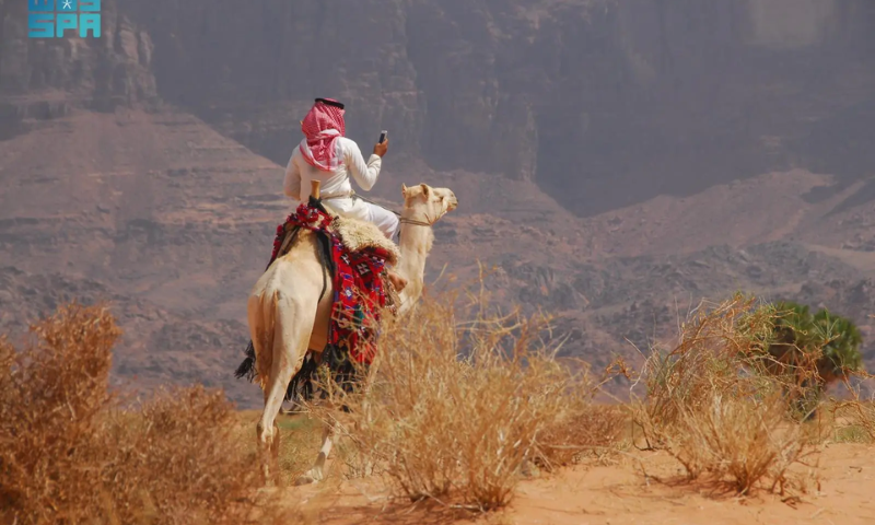 Saudi Arabia Observes World Camel Day