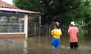 Honduras, Flood, Goascorán River, Rain, America,