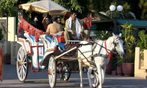 Eid Al-Adha, Islamabad, Rawalpindi, Celebrations, Rawal Lake, Ayub Park, Eid, Jinnah Park, Pir Sohawa, Daman-e-Koh,